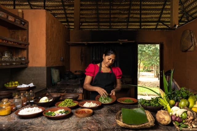 Cooking Classes – Alternative Healthy Fare